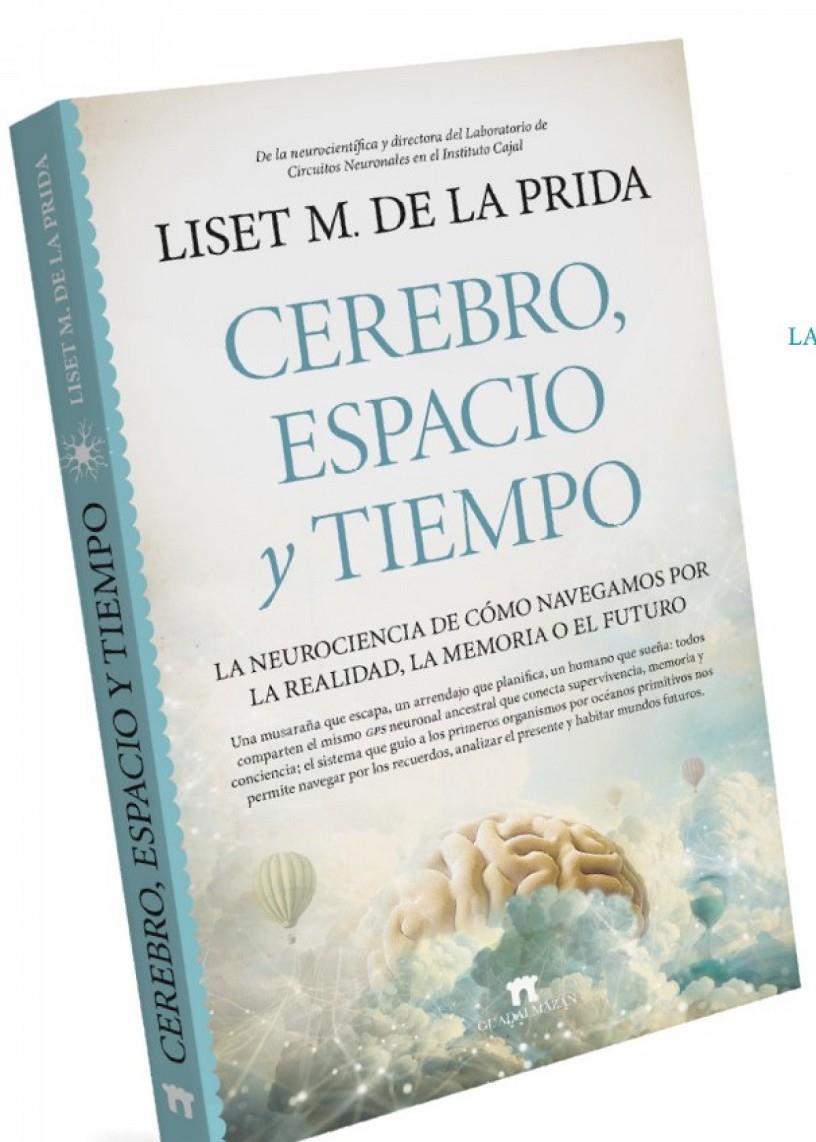 CEREBRO, ESPACIO Y TIEMPO | 9788419414861 | LISET MÉNENDEZ DE LA PRIDA