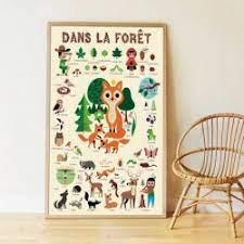 DISCOVERY STICKERS : FOREST | 3760262410609