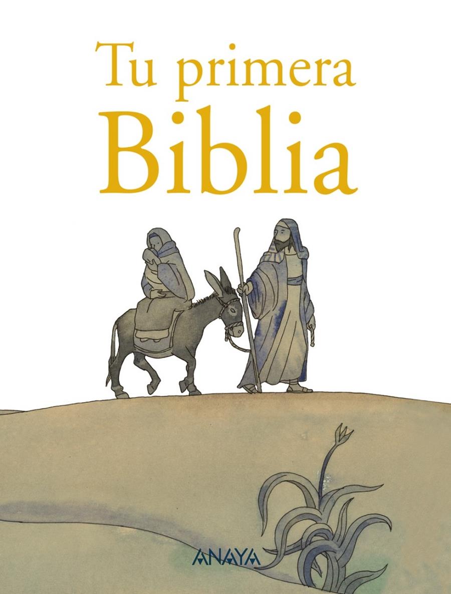 TU PRIMERA BIBLIA | 9788467862645 | MUÑOZ PUELLES, VICENTE