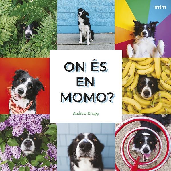 ON ÉS EN MOMO? | 9788410407893 | KNAPP, ANDREW