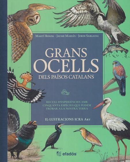 GRANS OCELLS DELS PAÏSOS CATALANS | 9791387658236 | BOADA, MARTI/SARGATAL, JORDI/MARLÉS, JAUME