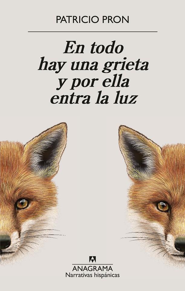 EN TODO HAY UNA GRIETA Y POR ELLA ENTRA LA LUZ | 9788433949158 | PRON, PATRICIO
