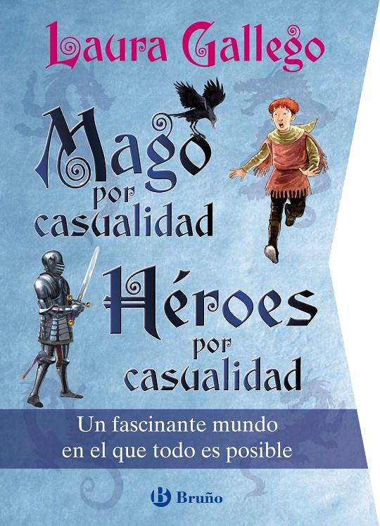 MAGO POR CASUALIDAD. HÉROES POR CASUALIDAD | 9788469664193 | GALLEGO, LAURA