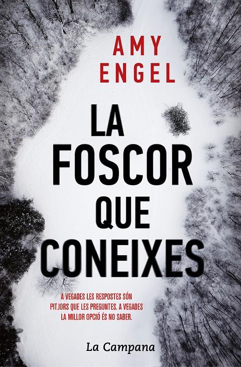 LA FOSCOR QUE CONEIXES | 9788416863730 | ENGEL, AMY