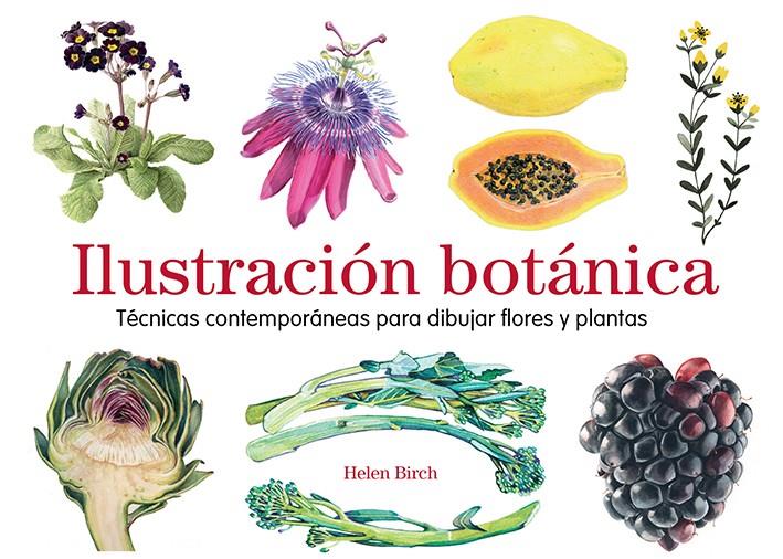 ILUSTRACIÓN BOTÁNICA | 9788425231841 | BIRCH, HELEN