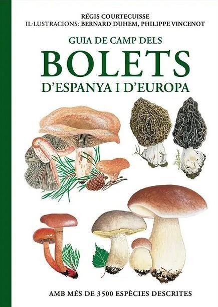 GUIA DE CAMP DELS BOLETS D'ESPANYA I D'EUROPA | 9788428217903
