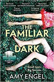 THE FAMILIAR DARK | 9781529368116 | AMY ENGEL