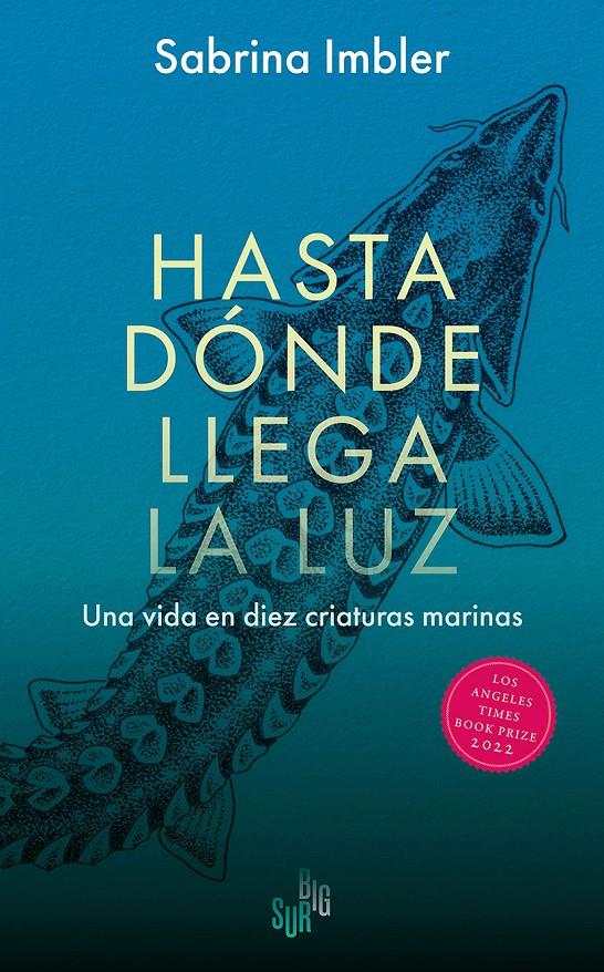 HASTA DÓNDE LLEGA LA LUZ | 9788412731873 | IMBLER, SABRINA