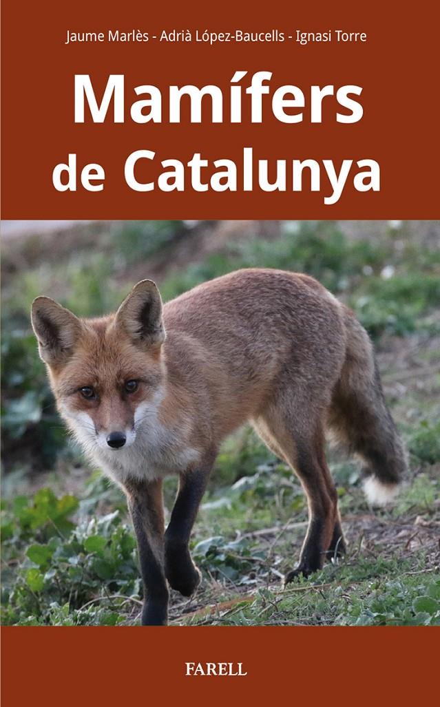 MAM?FERS DE CATALUNYA | 9788417116927 | MARLES MAGRE, JAUME/LOPEZ-BAUCELLS, ADRIA/TORRE COROMINAS, IGNASI