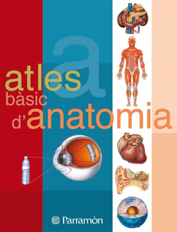 ATLES BASIC D'ANATOMIA  | 9788434223134 | PARRAMON