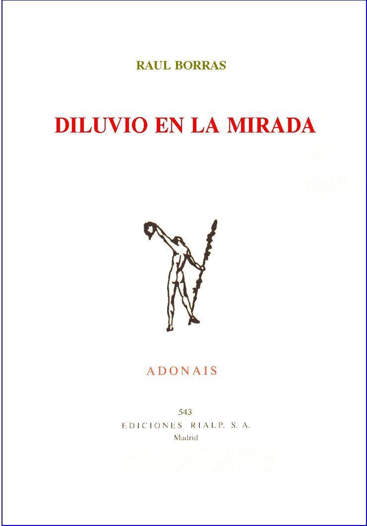 DILUVIO EN LA MIRADA | 9788432132384 | BORRAS CATALA, RAUL