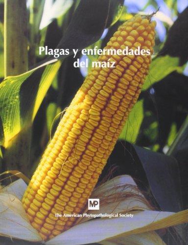 PLAGAS Y ENFERMEDADES DEL MAIZ | 9788484761624 | JUAN, CARLOS DE ,   TR.