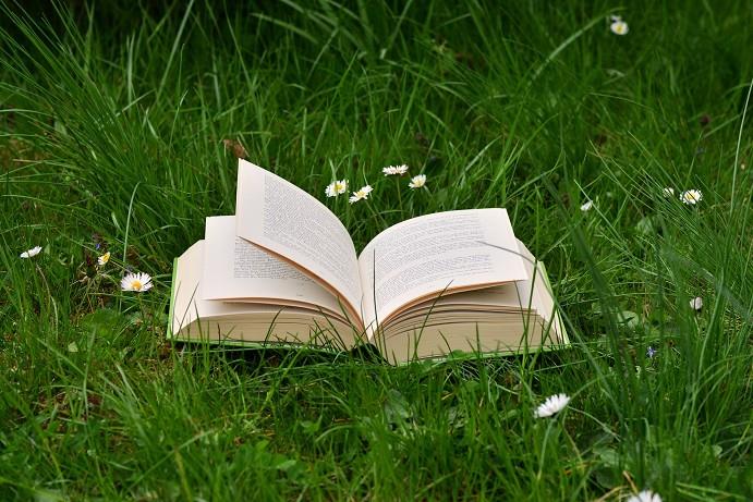 GESTIÓ I PRESCRIPCIÓ BIBLIOTECÀRIA | 28052026 | OLIVIA PASCUAL PASTOR