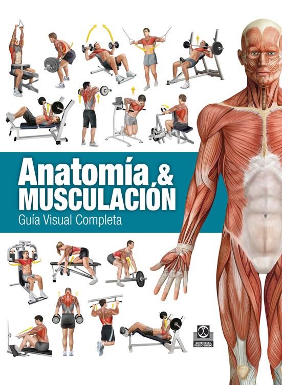 ANATOMÍA & MUSCULACIÓN. GUÍA VISUAL COMPLETA (COLOR) | 9788499104911 | CÁNOVAS LINARES, RICARDO