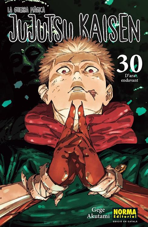 JUJUTSU KAISEN 30 CATALA | 9788467976281 | AKUTAMI, GEGE