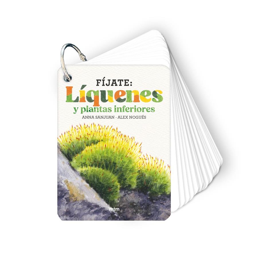 FÍJATE: LÍQUENES Y PLANTAS INFERIORES | 9788410407619 | SANJUAN LLORENS, ANNA/NOGUÉS, ALEX