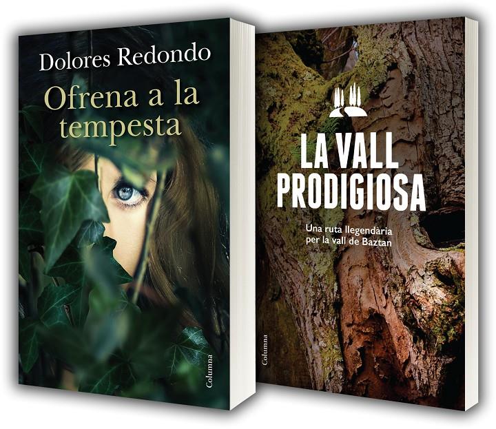 OFRENA A LA TEMPESTA + GUIA DE BAZTAN PACK | 9788466419956 | REDONDO, DOLORES 