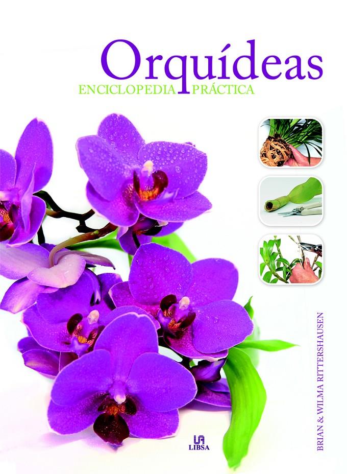 ORQUÍDEAS ENCICLOPEDIA PRÁCTICA | 9788466228497 | RITTERSHAUSEN, BRIAN/RITTERSHAUSEN, WILMA