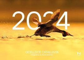 2024 OCELLS DE CATALUNYA CALENDARI | 9781901175059 | BERTRANA, XAVIER