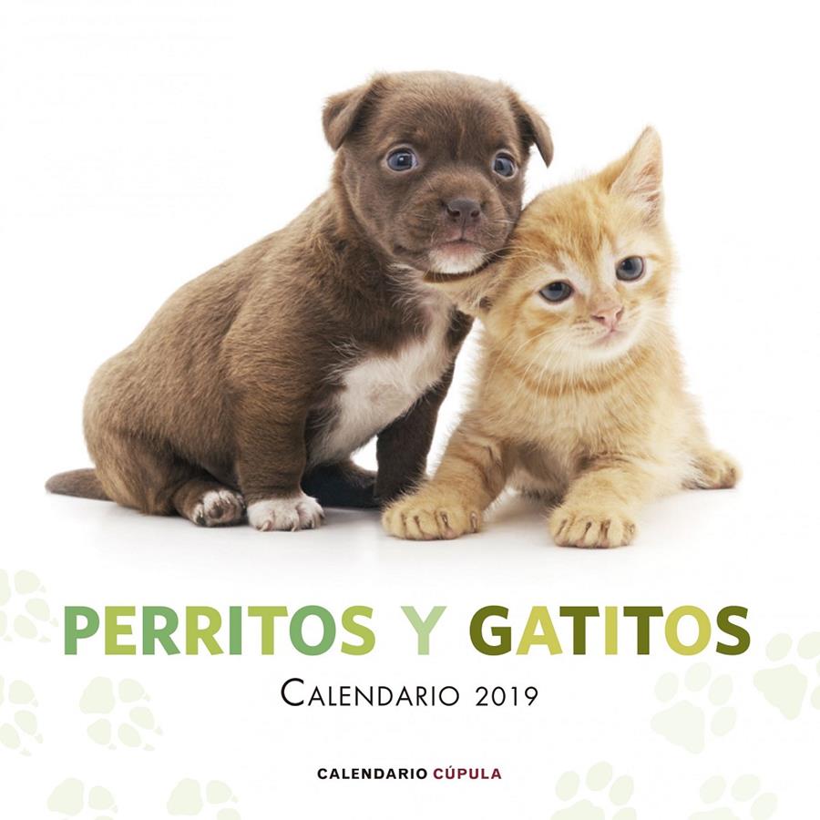 CALENDARIO PERRITOS Y GATITOS 2019 | 9788448024666 | AA. VV.