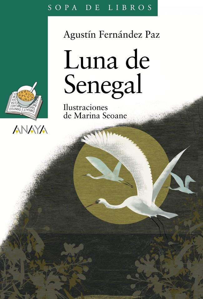 LUNA DE SENEGAL | 9788466784306 | FERNANDEZ PAZ, AGUSTIN