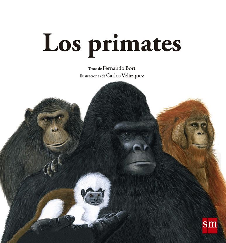 LOS PRIMATES | 9788467573930 | BORT MISOL, FERNANDO