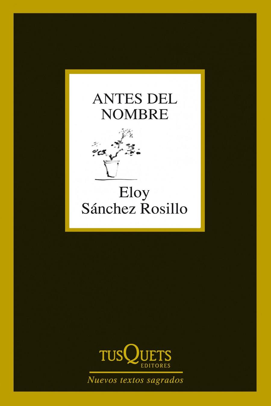 ANTES DEL NOMBRE | 9788483834619 | SÁNCHEZ ROSILLO, ELOY 
