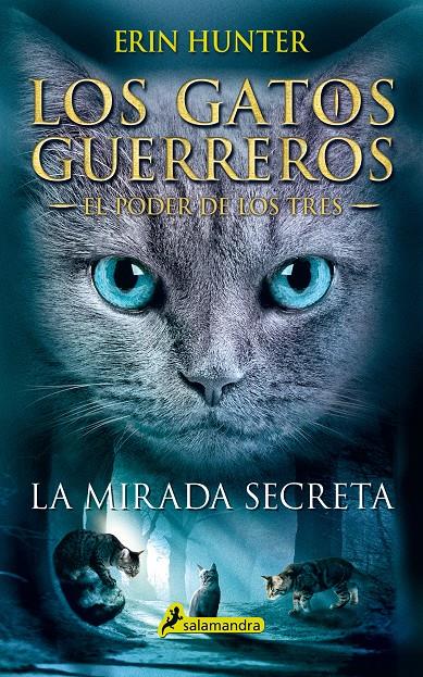 LA MIRADA SECRETA ( EL PODER DE LOS TRES I) | 9788498388213 | HUNTER, ERIN