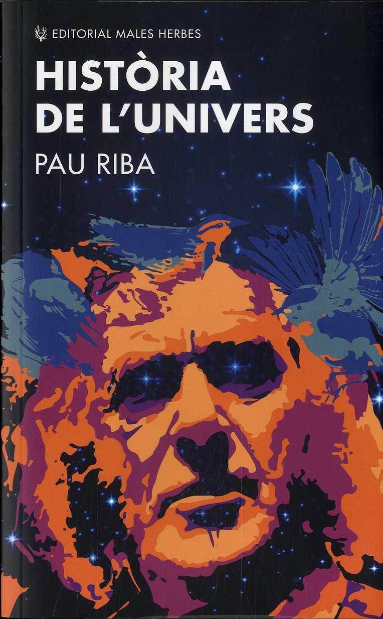 HISTÒRIA DE L'UNIVERS | 9788412216776 | PAU RIBA
