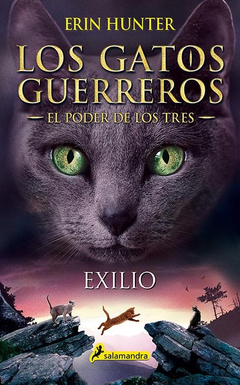 EXILIO (EL PODER DE LOS TRES III) | 9788498389449 | HUNTER, ERIN