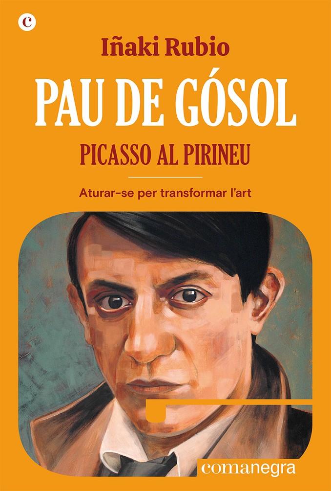PAU DE GÓSOL. PICASSO AL PIRINEU. ATURAR-SE PER TRANSFORMAR L’ART | 9788419590404 | RUBIO, IÑAKI