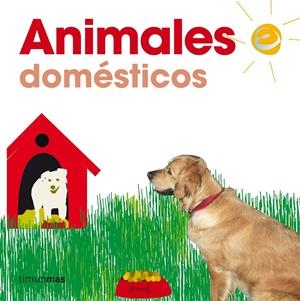 ANIMALES DOMESTICOS | 9788448014834 | AAVV