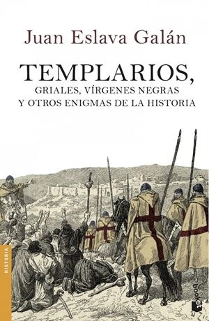 TEMPLARIOS, GRIALES, VÍRGENES NEGRAS Y OTROS ENIGMAS DE LA HISTORIA | 9788408114505 | ESLAVA GALÁN, JUAN
