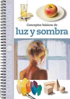 LUZ Y SOMBRA EJERCICIOS CONCEPTOS BASICOS | 9788434224155 | AAVV