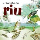LA VIDA AL VOLTANT D'UN RIU | 9788497913409 | FERUCCIO CUCCHIARINI