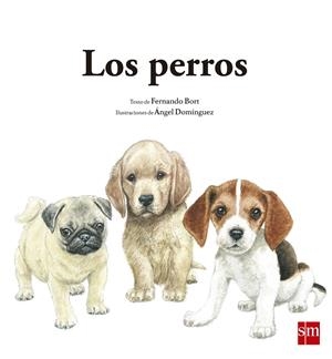 LOS PERROS | 9788467573923 | BORT MISOL, FERNANDO