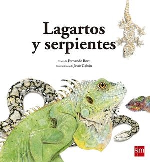 LAGARTOS Y SERPIENTES | 9788467573947 | BORT MISOL, FERNANDO