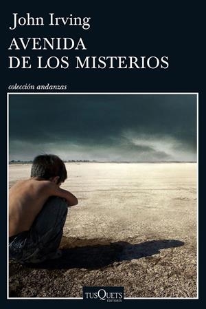 AVENIDA DE LOS MISTERIOS | 9788490662496 |  IRVING, JOHN