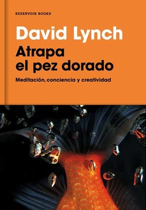 ATRAPA EL PEZ DORADO | 9788416709014 | LYNCH, DAVID
