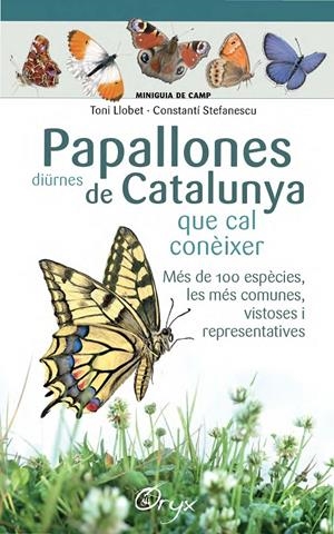 PAPALLONES DIüRNES DE CATALUNYA | 9788490346754 | LLOBET FRANçOIS, TONI/STEFANESCU, CONSTANTí