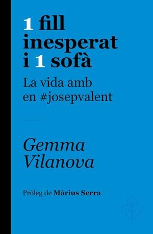 1 FILL INESPERAT I 1 SOFÀ | 9788415315650 | GEMMA VILANOVA