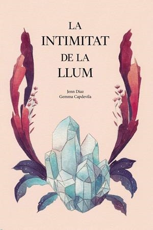 LA INTIMITAT DE LA LLUM | 9788494958021 | JENN DIAZ I GEMMA CAPDEVILA
