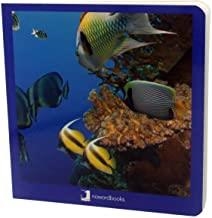 ANIMALS MARINS | 9788494295607 | DAVID MARTÍN