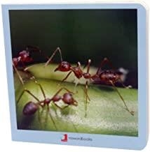 ANIMALETS | 9788494585432 | MARTÍN MARTÍNEZ, DAVID