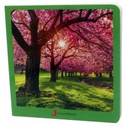 PRIMAVERA | 9788412171006 | DAVID MARTINEZ