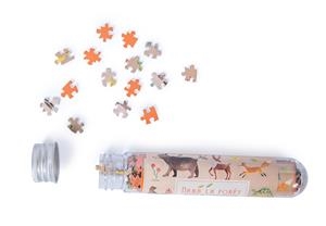 MINI PUZZLE DANS LA FORET | 3575677124078