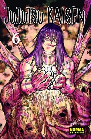 JUJUTSU KAISEN 6. GUERRA DE HECHICEROS | 9788467944204 | GEGE AKUTAMI