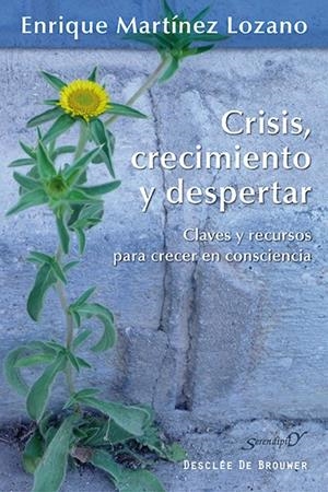 CRISIS, CRECIMIENTO Y DESPERTAR. CLAVES Y RECURSOS PARA CRECER EN CONSCIENCIA | 9788433026323 | MARTÍNEZ LOZANO, ENRIQUE