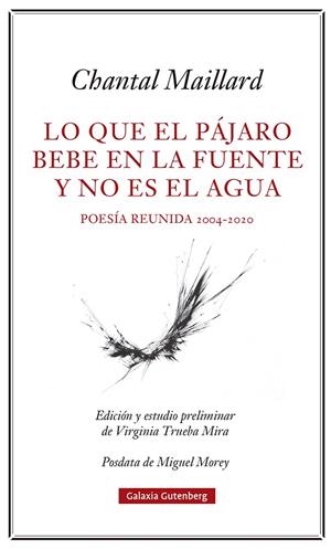 LO QUE EL PÁJARO BEBE EN LA FUENTE Y NO ES EL AGUA. OBRA POÉTICA REUNIDA 2004-2020 | 9788418807633 | MAILLARD, CHANTAL