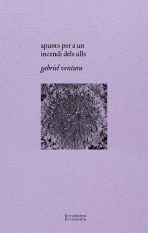 APUNTS PER A UN INCENDI DELS ULLS | 9788412258202 | VENTURA CUENCA, GABRIEL